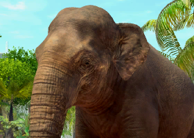 Indian Elephant | Zoo Tycoon Wiki | Fandom