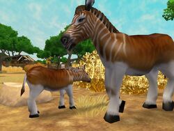 Zoo Tycoon 2: Quaggas by MF217 on DeviantArt