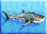 Whale-shark-icon-zt1.png