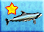 Bottlenose-dolphin-icon-zt1.png