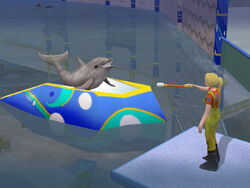 Marine Animal Shows, Zoo Tycoon Wiki