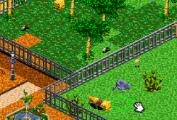 Zoo Tycoon DS - Wikipedia