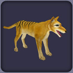 Category:Temperate forest animals | Zoo Tycoon Wiki | Fandom