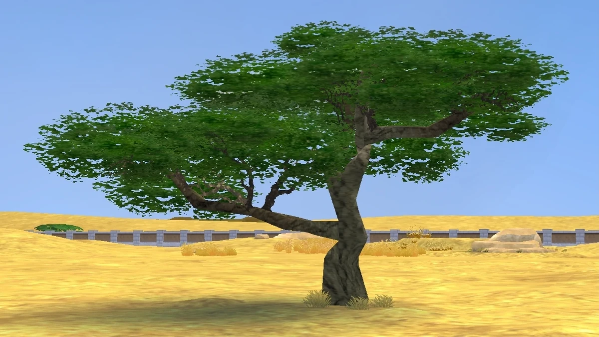 List of Foliage in Zoo Tycoon 2 Zoo Tycoon Wiki Fandom