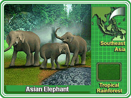 Swinging Log, Zoo Tycoon Wiki