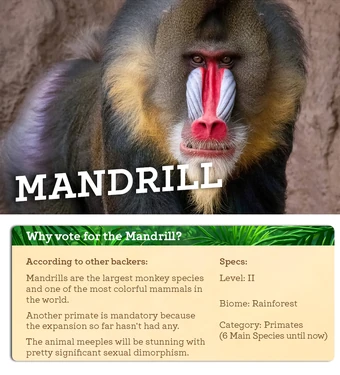 340?cb=20240720025557