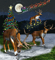 Reindeer.png
