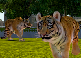 Zoo Tycoon 3: Siberian Tiger 