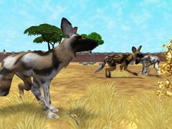 User blog:Superjakob/Animal List from Zoo Tycoon 3