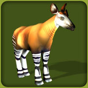 Okapi