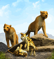 Mountain Lion-0.png