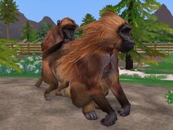 User blog:Superjakob/Animal List from Zoo Tycoon 3