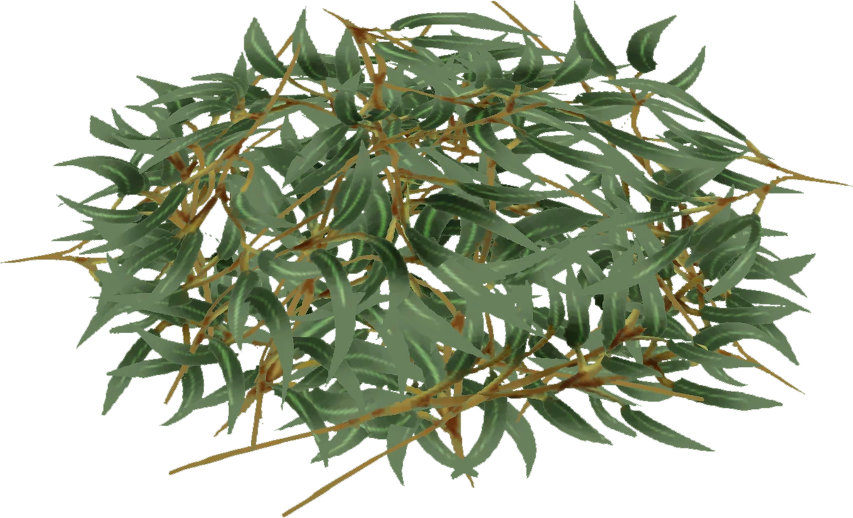 Eucalyptus Zoo Tycoon Wiki Fandom