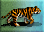 Siberian-tiger-icon-zt1.png