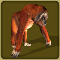 Zoo Tycoon 2: Endangered Species - Metacritic