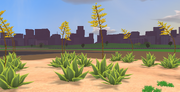 Centuryplant
