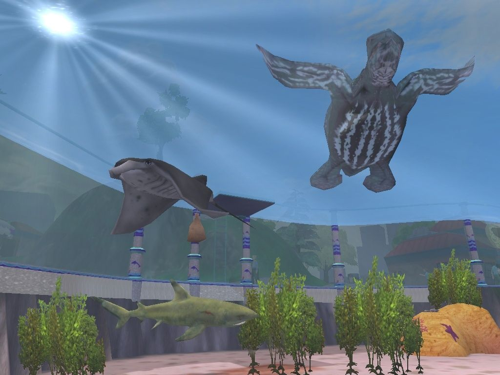 Marine Animal Shows, Zoo Tycoon Wiki