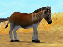 Zoo Tycoon 2: Quaggas by MF217 on DeviantArt