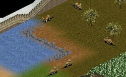 Fun Fact: The Styracosaurus Babies from Zoo Tycoon 2's Dino Danger Pack  were Originally going to be Green! : r/ZooTycoon