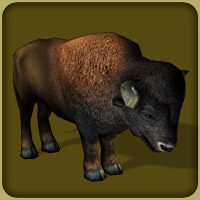 User blog:Superjakob/Animal List from Zoo Tycoon 3