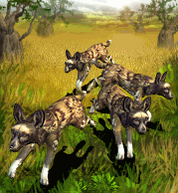 African Wild Dog.png