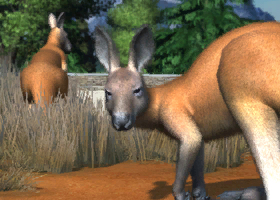 User blog:Superjakob/Animal List from Zoo Tycoon 3