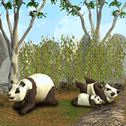 Zoo Tycoon DS - Wikipedia