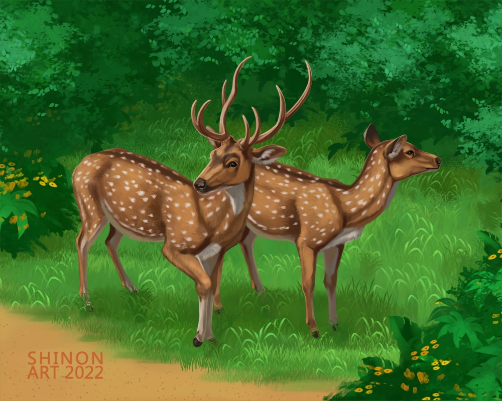 Axis Deer | Zoo Tycoon Wiki | Fandom