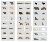 Revised Main Species meeple concepts.