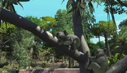 Zoo Tycoon Koalas