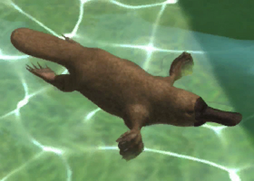 zoo tycoon 2 platypus