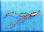 Giant-squid-icon-zt1.png