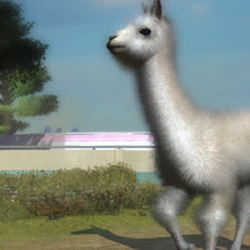 Category:Ultimate Animal Collection Animals | Zoo Tycoon Wiki | Fandom
