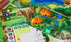 Zoo Tycoon: The Board Game by Treeceratops