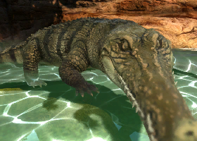 Saltwater Crocodile, Planet Zoo Wiki