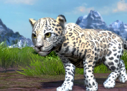 Animalindividualsparana jaguar-malechild0