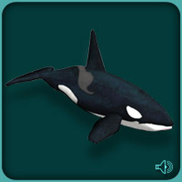 Zoo Tycoon: Marine Mania - Orca Show (Scenario 1) 