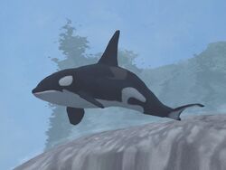 Zoo Tycoon: Marine Mania - Orca Show (Scenario 1) 