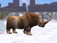 Woolly Rhinoceros