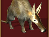 Aardvark