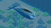 ZT1 Bowhead Whale