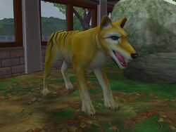 User blog:Superjakob/Animal List from Zoo Tycoon 3