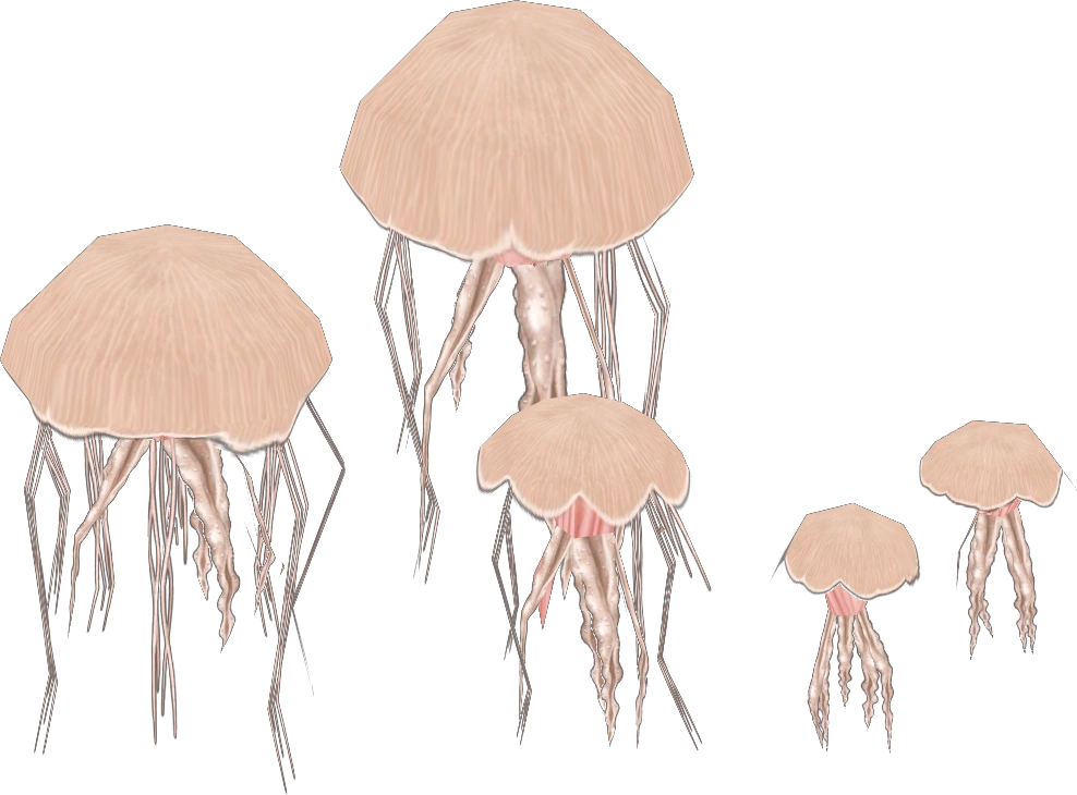 Jellyfish Zoo Tycoon Wiki Fandom