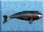 Bowhead-whale-icon-zt1.png