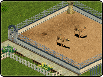 Zoo Tycoon: Ultimate Animal Collection [Gameplay, PC] 