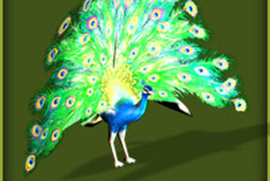 survivalcraft peacocks