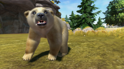 Zoo Tycoon 3: Polar Bear 