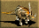 Styracosaurus-icon-zt1.png
