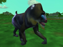 Revitalize Burkitsville Zoo, Zoo Tycoon Wiki