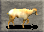 Bighorn Sheep - Female.png
